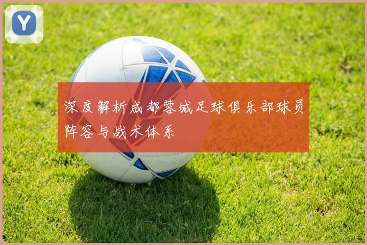 深度解析成都蓉城足球俱乐部球员阵容与战术体系