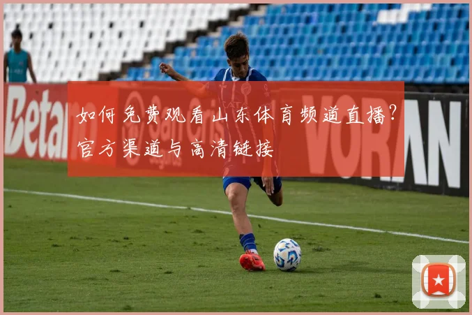 如何免费观看山东体育频道直播？官方渠道与高清链接